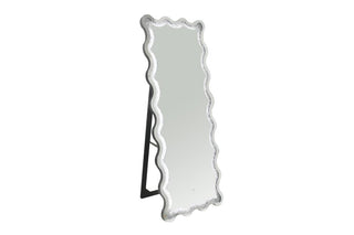 Brixey 24 x 63 Inch LED Lighting Standing Floor Mirror Black